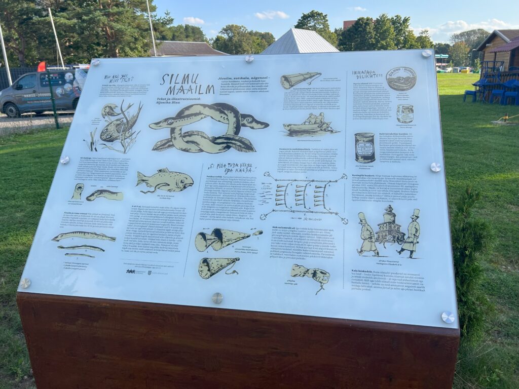 suur puidust alusele paigutatud fkalanduse teemaline infotahvel. Tahvli keskel on silmu illustratsioon. Keskmise pildi ümber on väiksemaid joonistusi, mis näitavad peamise teemana kala anatoomiat, käitumist või elupaiku. Kujutatud on erinevaid kehaosi, nagu uimed, hambad või kolju, samuti diagramme, mis näitavad, kuidas kalad liiguvad. 